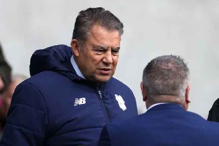 Mehmet Dalman slams imminent Cardiff City takeover talk as 'fiction' in strong public statement