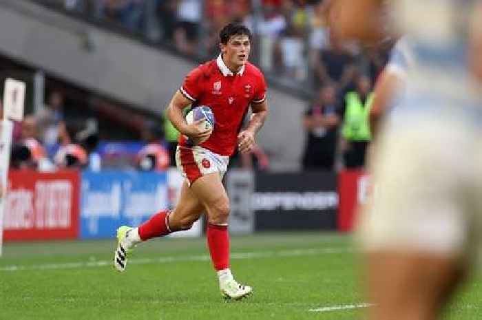 Sam Warburton tells WRU and regions to 'throw the kitchen sink' at Louis Rees-Zammit
