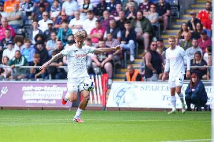 Swansea City players ratings as tidy new signing shows he's ready for the new season