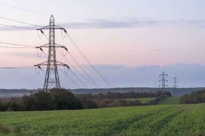 Now you see them:  'Once in a generation plan' to pull down 16 pylons from 'wonderful' Cotswolds takes leap forward