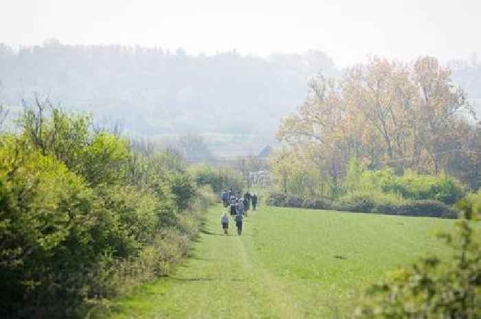 The scenic country park with beautiful wildflower meadows - and 2 pubs across the road
