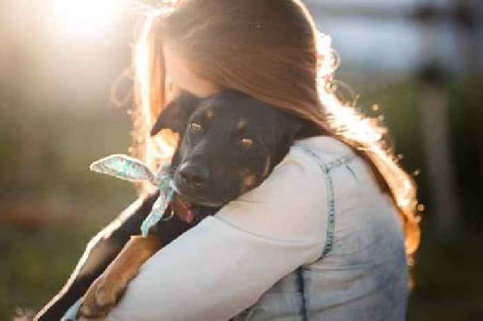 'I adopted rescue dog and how she reacted to meeting me broke my heart'