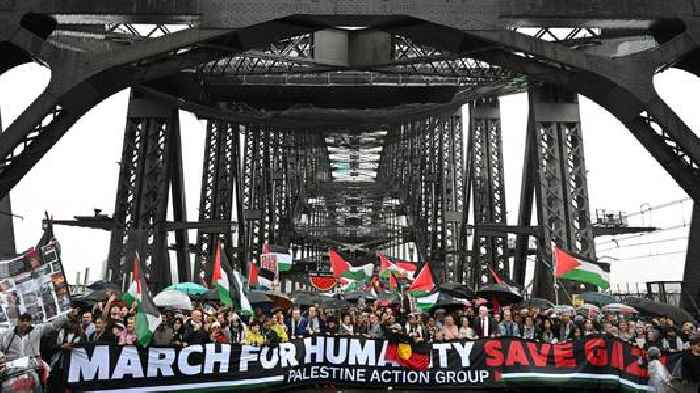 Sydney Harbour Bridge pro-Palestine protest so busy it was 'perilous', police chief says