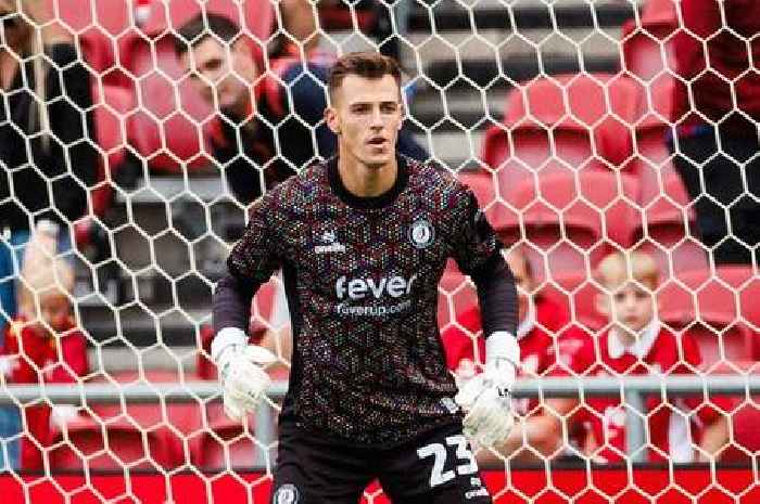 Gerhard Struber sets out what Manchester United loanee Radek Vitek will bring to Bristol City