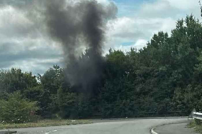 Woman dies in BMW crash near Exeter Airport