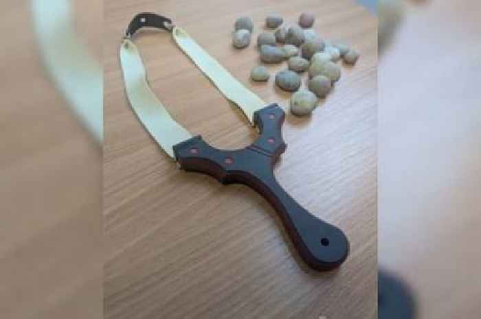 Catapult crackdown in Kent after kids found firing stones at birds and man 'shot in the face'