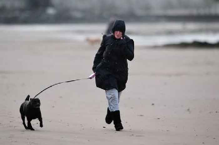 Storm Floris: SNP minister urges Scots to follow advice and expect disruption if travelling