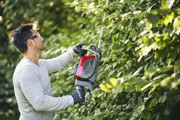 UK gardeners warned over possible fine for illegal hedge cutting