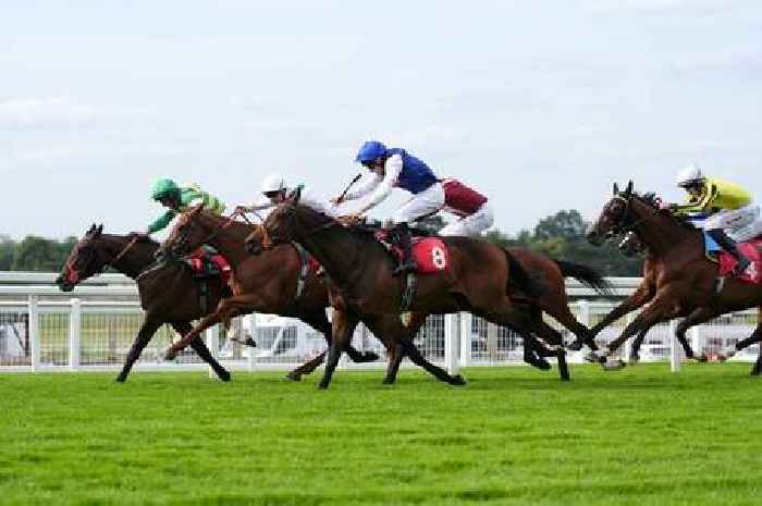 'The longer trip will play to his strengths' – Jason Heavey's racing tips