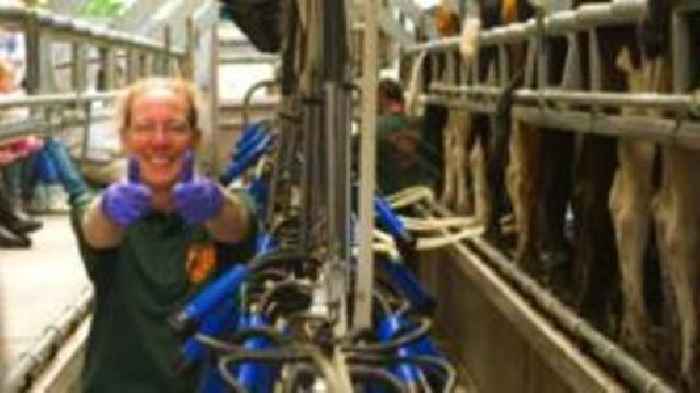 How Lorna found her future in dairy farming