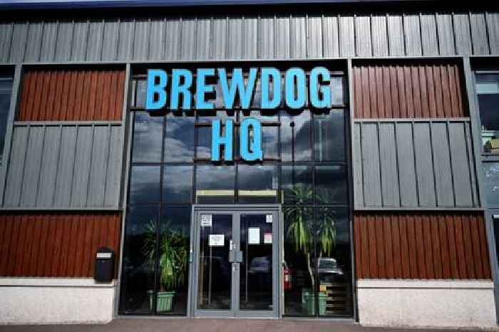 Brewdog ad banned for promoting beer as ‘solution for loneliness’