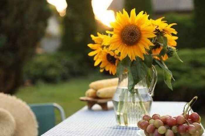 The three-second hack to keep sunflowers looking fresh for longer