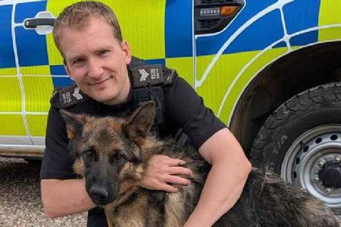 Criminals starved dog until it was a '16kg hairy skeleton' - now Lincolnshire Police wants to find it a forever home