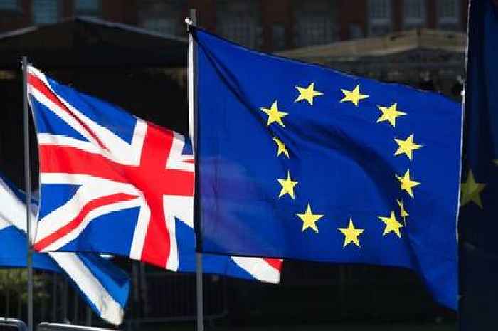 Polls show more Brits now back remain - would you switch your Brexit vote?