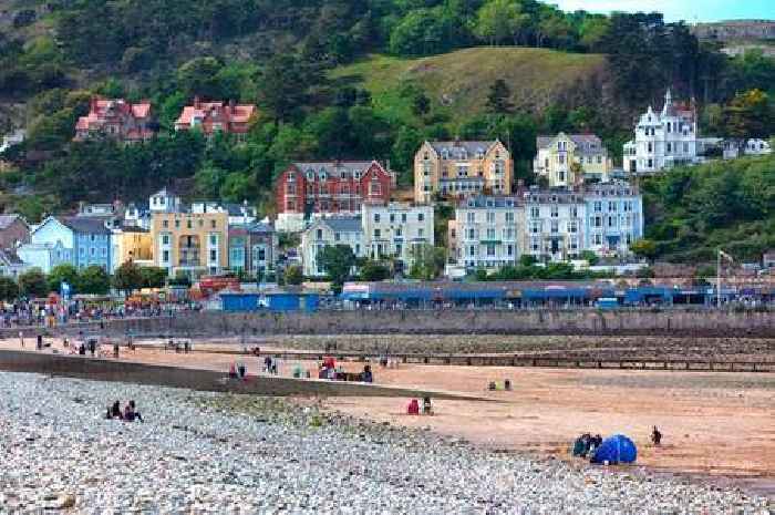 Man visits Llandudno beach to take photos and stumbles upon 'unsettling' creature