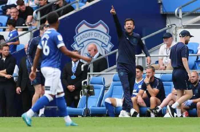Rival boss hits nail on head about Cardiff City and Brian Barry-Murphy with 'crazy' verdict