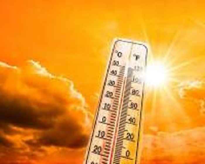 A new record high of 41.8C as 17 heat records broken across Japan