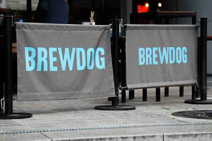 Brewdog ad banned for implying alcohol can overcome boredom and loneliness