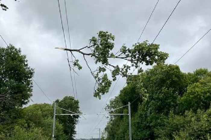 Power back on for most homes hit by Storm Floris blackout in reconnection drive
