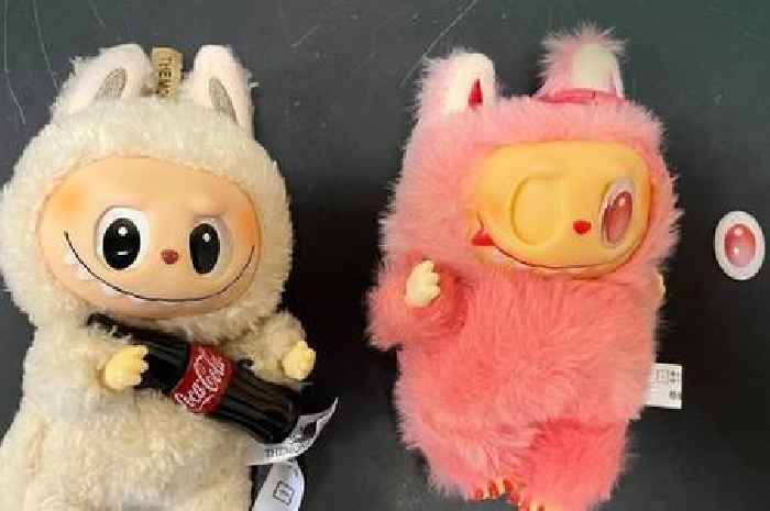 Hundreds of fake Labubu toys found on sale at huge Welsh event