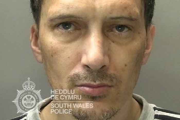 Thief smashes stolen van through security gates as part of planned vehicle heist
