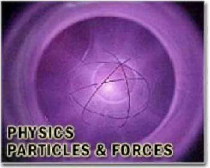 Real time view reveals melting dynamics in two dimensional skyrmion lattices