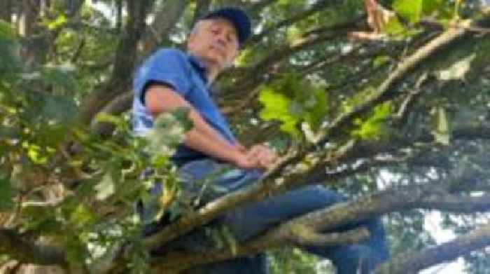 Banned fan cheers on non-league team from tree