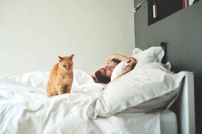 'Best method' to stop cats waking you up in the night – and what not to do