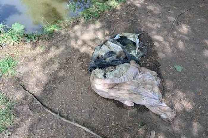 Cat dumped in Gloucester lake in bin bag with bricks