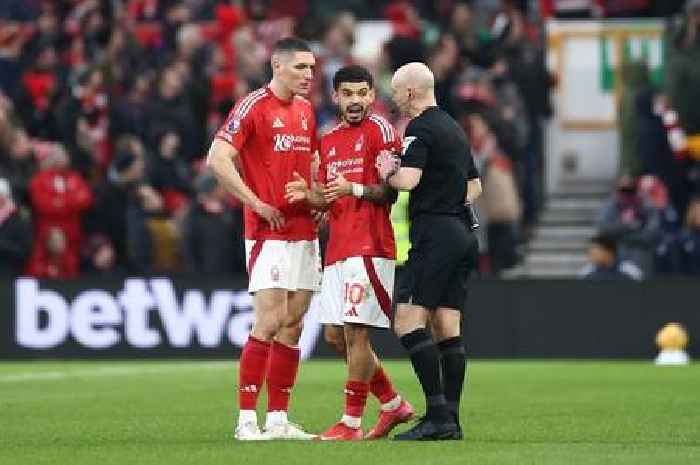 Nikola Milenkovic reveals dressing room power in Morgan Gibbs-White transfer saga