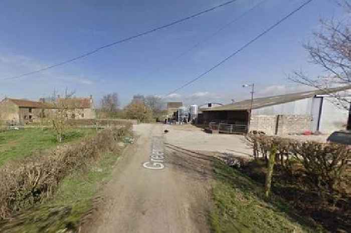 Farmland scheme near Yeovil could allow 600 homes to be built