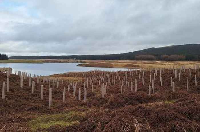 Scottish Water creates new native woodlands in South Lanarkshire