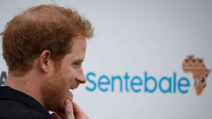 Sentebale calls for clarity on commission's probe into Prince Harry claims