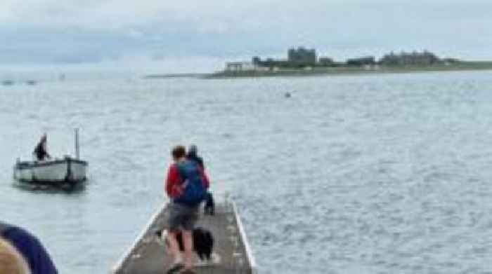 Life on an island with three residents and a king