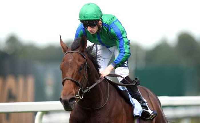 '16-1 chance should not be ruled out' – Jason Heavey's Saturday racing tips