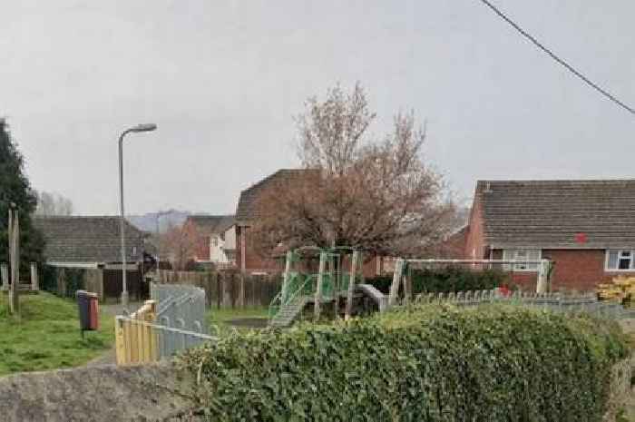 Dog bites off 'infant's' fingertip as mum and child left 'severely distressed'