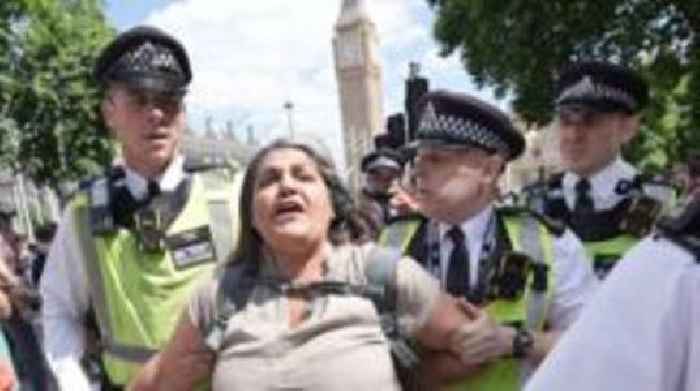 Police make arrests at Palestine Action ban protests