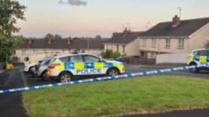 Man arrested after homes evacuated over security alert