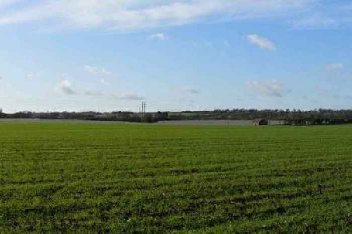 Kent solar farm plans described as 'insane' could still get go ahead at appeal