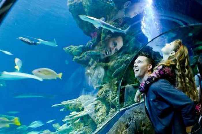 The 4 family fun attractions within seconds of each other along the River Thames