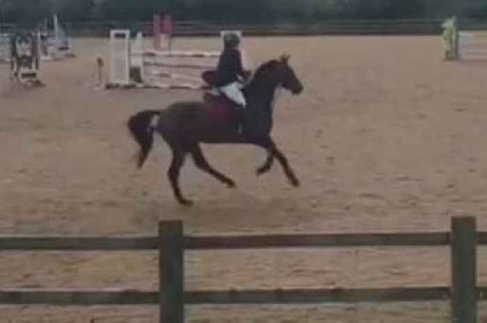 British horse rider tragically dies aged 37 after fatal fall as event cancelled