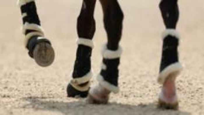 Horse rider, 37, dies following fall during event