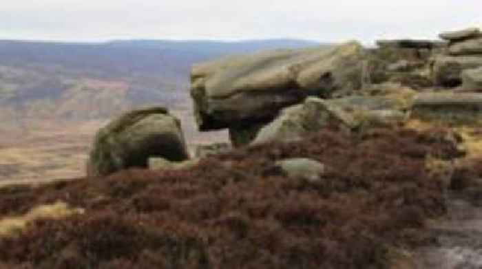 Campaigners launch bid to buy moor for community