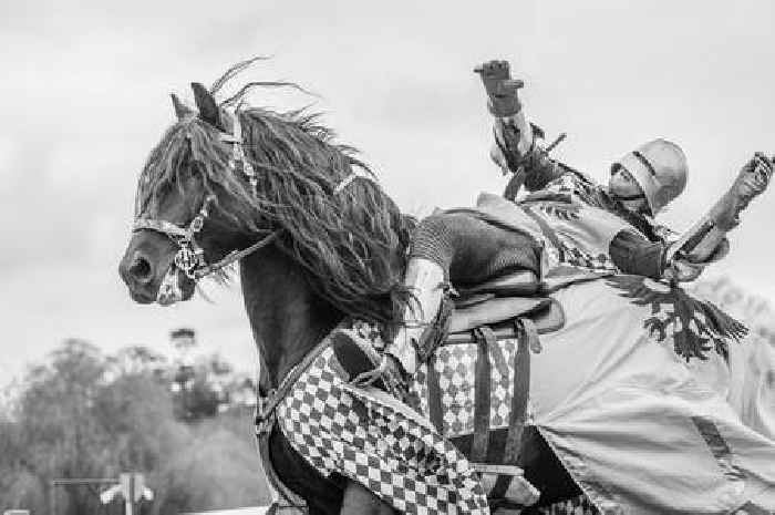 Gillingham & Shaftesbury Show has a thrilling line-up and rural charm