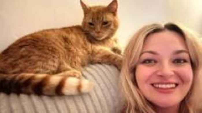 Petition asks to make dogs killing pets an offence