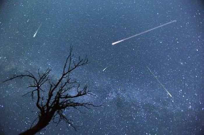 Perseid meteor shower: exact time to spot fireballs shoot across the sky