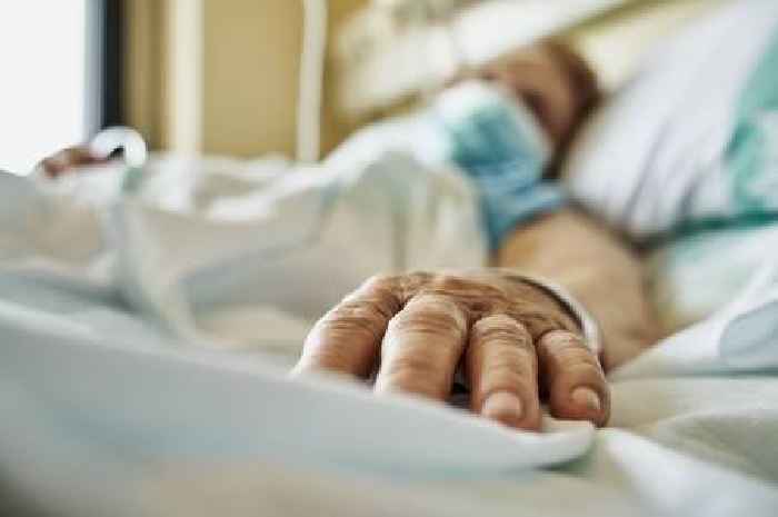Heatwave death alert as calls for air conditioner law grow