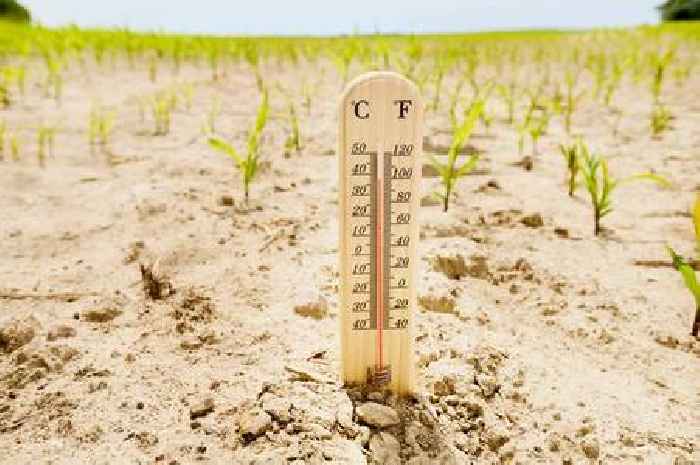 Country facing 'nationally significant' water shortfall after months of no rain