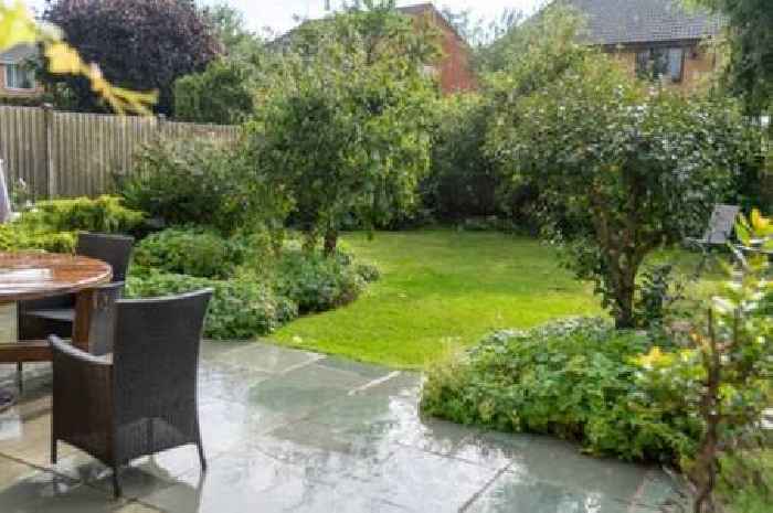 UK households warned to 'report it' as 'invasion' sweeps gardens in England