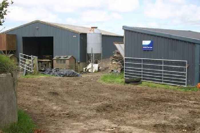 Barn could be demolished and replaced with eco-friendly homes